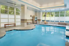 SpringHill Suites by Marriott Atlanta Buckhead - Piscina