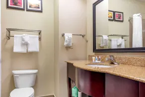Comfort Inn Near UNT - Salle de bain