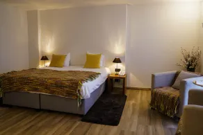 Hotel de Flandre Ghent - Room
