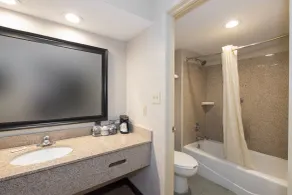 Red Roof Inn Mobile North – Saraland - Salle de bain