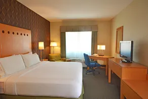Holiday Inn Express & Suites Monterrey Aeropuerto by IHG - Værelse