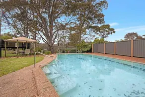 The Tree Motel - Pool