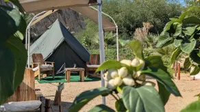 La Window Glamping - Rum