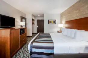 Wingate by Wyndham Detroit Metro Airport - Chambre