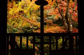 Kurokawa Onsen Oku no Yu - Vue de la chambre