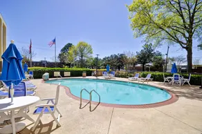 Hampton Inn Memphis-Poplar - Piscine