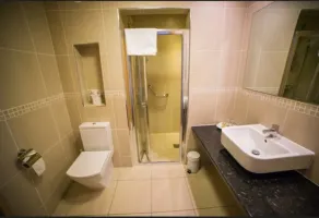 Curran Court Hotel - Baño