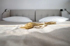 Oranda Village - Quarto