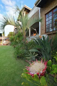 Kairos Home Guesthouse - Rezeption