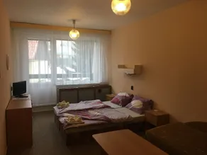 Penzion Slatina - Habitación