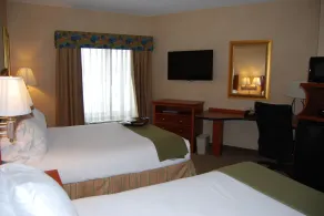 Holiday Inn Express Hotel & Suites Auburn Hills by IHG - Chambre