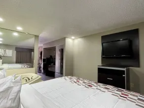 Red Roof Inn & Suites Jackson - Richland - Room