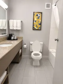 Comfort Inn & Suites Johnson City - Binghamton - Bagno