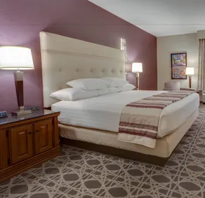 Drury Inn & Suites Las Cruces - Chambre