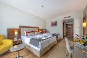 Leodikya Kirman Premium - Ultra All Inclusive - Room