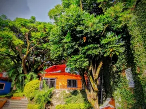 Hotel Eterna Primavera Cuernavaca - Vista dalla camera
