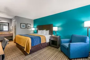 Comfort Inn Sun City Center - Ruskin - Tampa South - Chambre