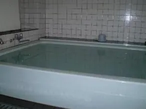 Ikawa Ryokan - Bathroom