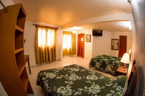 Hotel posada casa regia - Habitación
