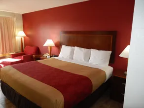 Econo Lodge Athens I-75 - Chambre