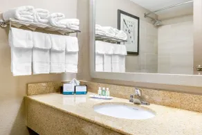 Quality Inn & Suites Apex - Holly Springs - Salle de bain