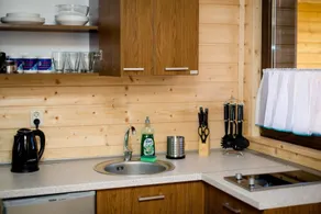 Nemo Domki Letniskowe - Private kitchenette