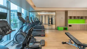 Holiday Inn Changsha Malanshan by IHG - Fitness facility