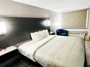 Quality Inn Raynham - Taunton - Chambre