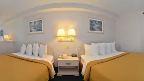 Econo Lodge San Antonio South - Chambre