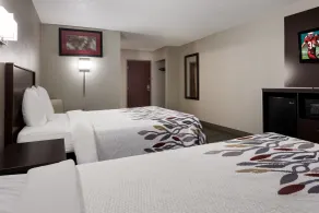 Red Roof Inn Hartford- New Britain - Chambre