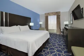 Holiday Inn Express and Suites Houston North - IAH Area by IHG - Chambre