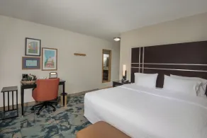 Hampton Inn Austin/Oak Hill - Værelse
