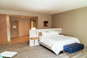 Hilton Garden Inn Tampa-Wesley Chapel, FL - Chambre