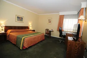 Hotel Diego De Almagro Calama - Room