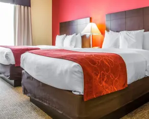 Comfort Suites Rock Hill Manchester Meadows Area - Room
