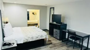 Executive Inn and Suites Houston - Zimmer