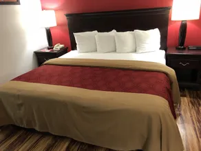 Econo Lodge Marion I-81 - Rom