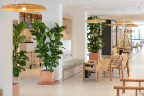 Copaiba by Honne Hotels - Adults Only - Réception