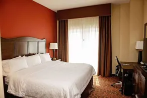 Hampton Inn & Suites Bradenton Downtown Historic District - Chambre