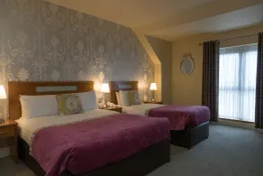 Raheen Woods Hotel - Room