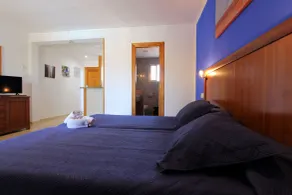 APARTAMENTOS PALASIET - Room