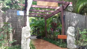 Alaya Ascend - Reception
