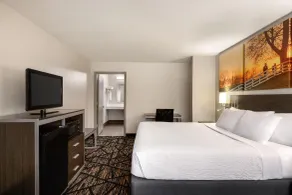 Days Inn by Wyndham San Antonio Near Fiesta Park - Room