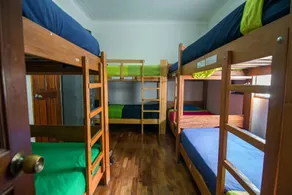 Dragonfly Hostels Miraflores - Room