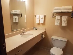 Oak Hill Inn & Suites - Badeværelse