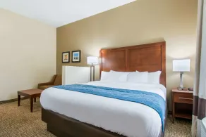 Comfort Inn & Suites Harrisburg - Hershey West - Chambre