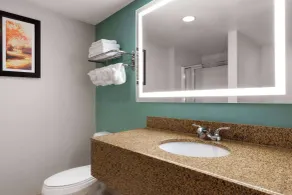 Wingate by Wyndham Louisville East - Salle de bain