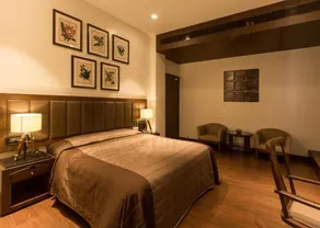 Park Suites - Room