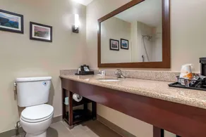 Comfort Suites Pell City near Logan Martin Lake - Salle de bain