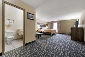 Quality Inn & Suites Lafayette I-65 - Chambre